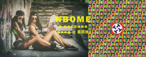 мдпв Алексин