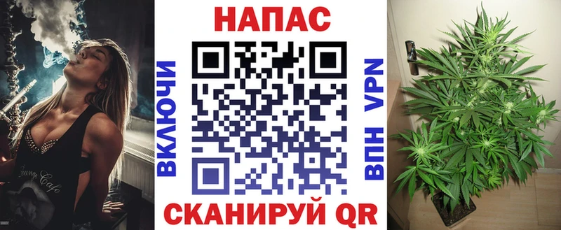 Бошки марихуана планчик  Моздок 